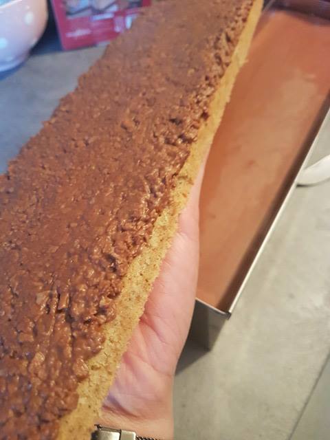 Bûche Chocolat, Crémeux Praliné Amande-cacahuètes (ou Classique ...